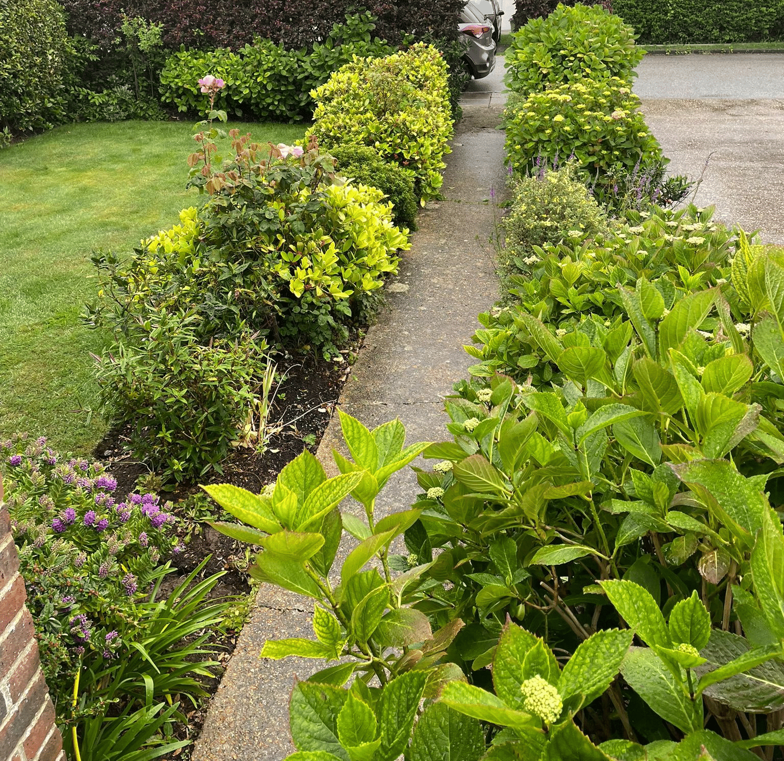 entrace 1 before