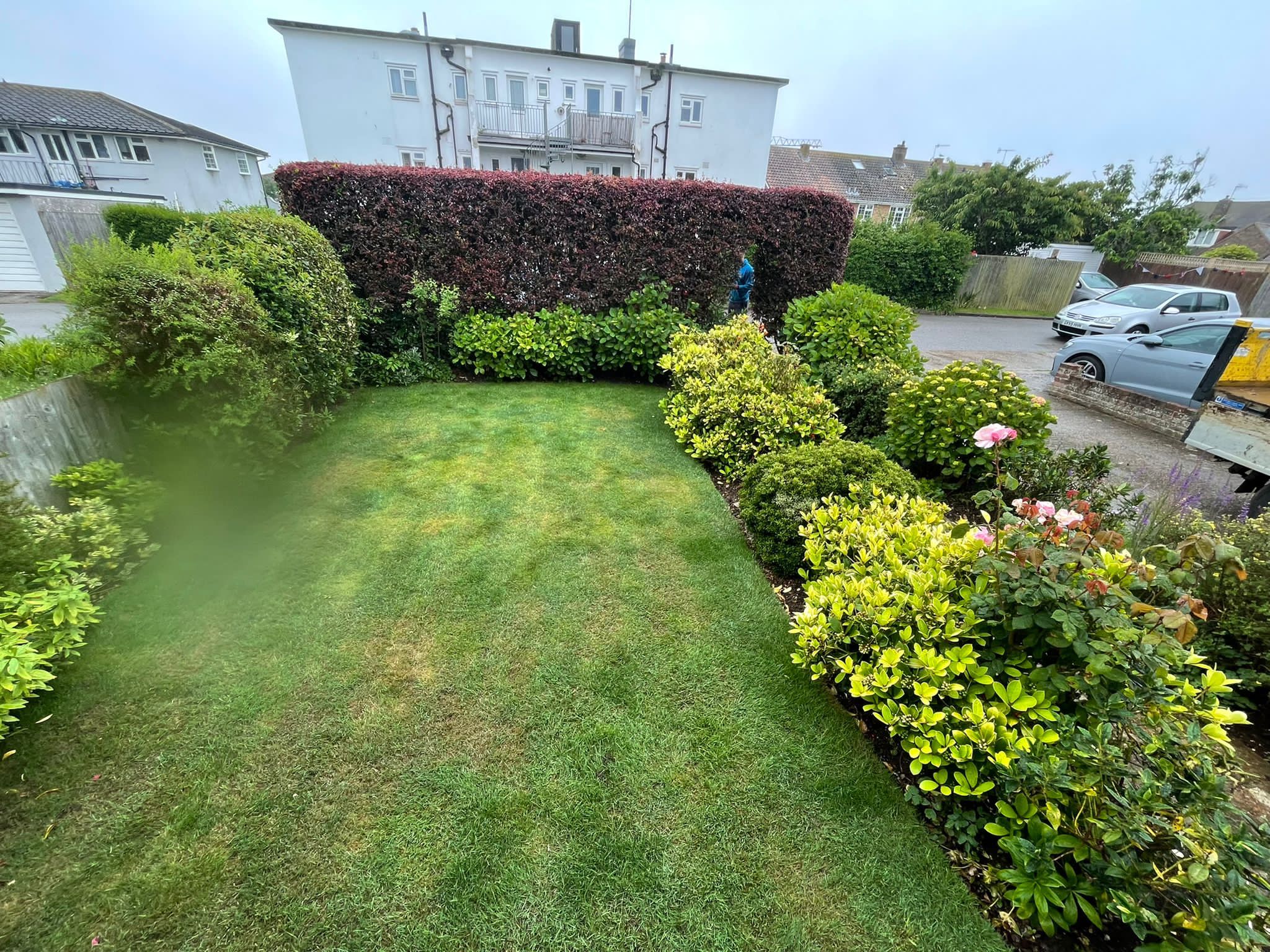 front garden before